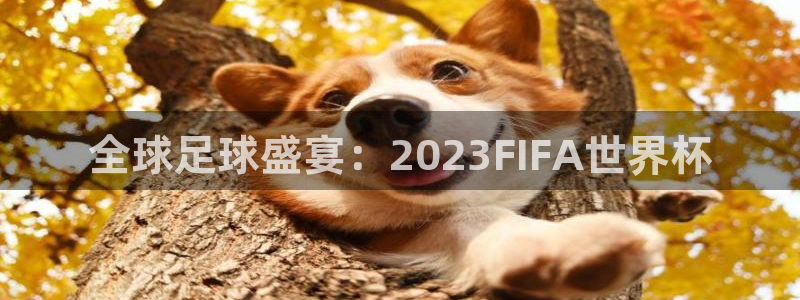 2026世界杯赛:全球足球盛宴:2023FIFA世界杯