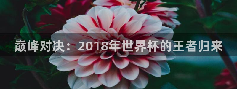 2026世界杯对阵图:巅峰对决:2018年世界杯的王者归来