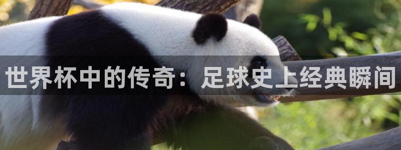 足球世界杯赛程:世界杯中的传奇:足球史上经典瞬间