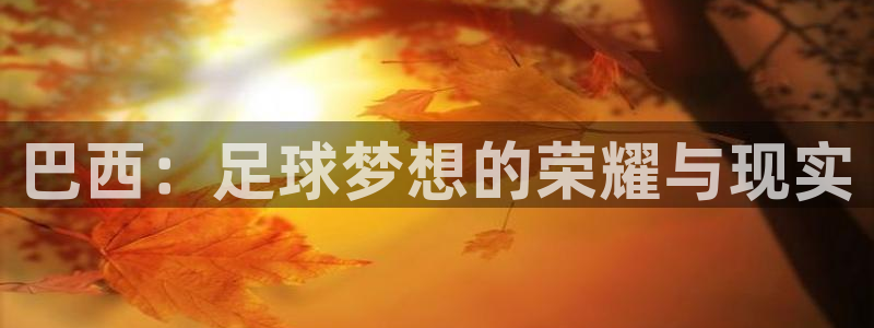 世界杯系列赛:巴西:足球梦想的荣耀与现实
