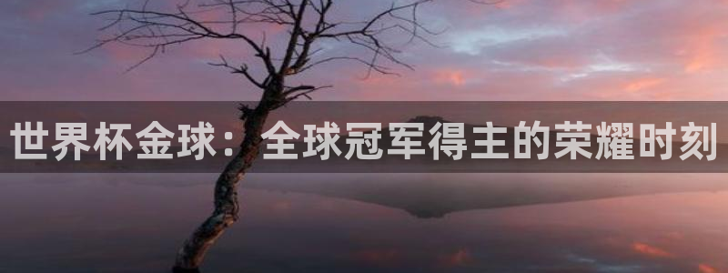 2026男足世界杯:世界杯金球:全球冠军得主的荣耀时刻