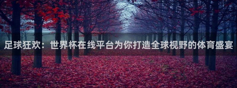 2026世界杯欧洲预选赛赛程表:足球狂欢:世界杯在线平台为你打造全球视野的体育盛宴