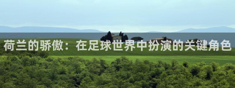 世界杯预选赛2026:荷兰的骄傲:在足球世界中扮演的关键角色