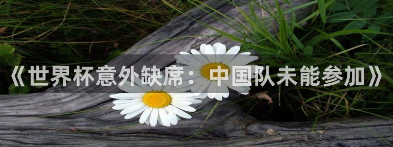 世界杯今年:《世界杯意外缺席:中国队未能参加》